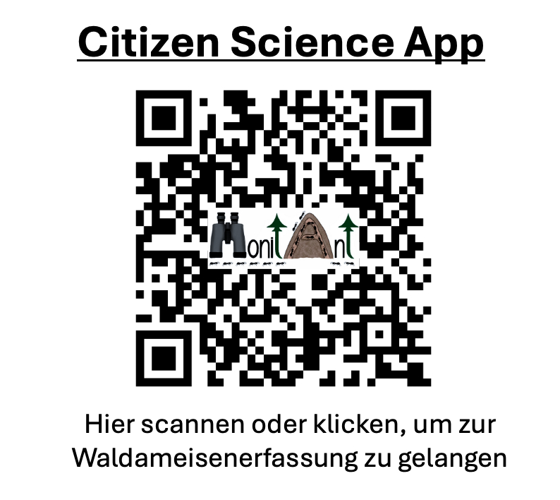 MonitAnt QR Code - klicken oder scannen